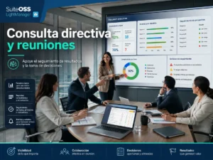 lightmanager-consulta-directiva-y-reuniones